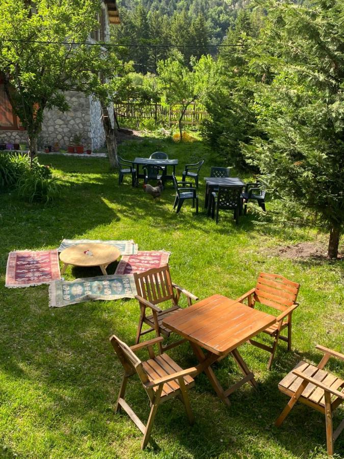 Guesthouse Demushi Valbone Exterior photo